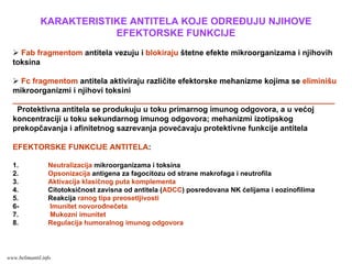 KARAKTERISTIKE ANTITELA KOJE ODREĐUJU NJIHOVE
EFEKTORSKE FUNKCIJE
Fab fragmentom antitela vezuju i blokiraju štetne efekte mikroorganizama i njihovih
toksina
Fc fragmentom antitela aktiviraju različite efektorske mehanizme kojima se eliminišu
mikroorganizmi i njihovi toksini
__________________________________________________________________________
Protektivna antitela se produkuju u toku primarnog imunog odgovora, a u većoj
koncentraciji u toku sekundarnog imunog odgovora; mehanizmi izotipskog
prekopčavanja i afinitetnog sazrevanja povećavaju protektivne funkcije antitela
EFEKTORSKE FUNKCIJE ANTITELA:
1. Neutralizacija mikroorganizama i toksina
2. Opsonizacija antigena za fagocitozu od strane makrofaga i neutrofila
3. Aktivacija klasičnog puta komplementa
4. Citotoksičnost zavisna od antitela (ADCC) posredovana NK ćelijama i eozinofilima
5. Reakcija ranog tipa preosetljivosti
6- Imunitet novorođnečeta
7. Mukozni imunitet
8. Regulacija humoralnog imunog odgovora
www.belimantil.info
 