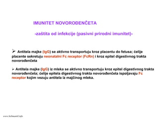Antitela majke (IgG) se aktivno transportuju kroz placentu do fetusa; ćelije
placente sekretuju neonatalni Fc receptor (FcRn) i kroz epitel digestivnog trakta
novorođenčeta
Antitela majke (IgG) iz mleka se aktivno transportuju kroz epitel digestivnog trakta
novorođenčeta; ćelije epitela digestivnog trakta novorođenčeta ispoljavaju Fc
receptor kojim vezuju antitela iz majčinog mleka.
IMUNITET NOVOROĐENČETA
-zaštita od infekcije (pasivni prirodni imunitet)-
www.belimantil.info
 