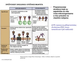 Prepoznavanje
struktura koje su
zajedničke za više
vrsta mikroorganizama
a nisu prisutne na
vlastitim ćelijama
(LPS; manoza na glikoproteinima;
dvolančana RNK virusa;
nemetilovani CpG nukleotidi)
Shema preuzeta iz knjige”Basic Immunology”, Abbas i Lichtman, isključivo za potrebe
predavanja
www.belimantil.info
 
