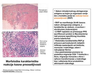 Morfološke karakteristike
reakcije kasne preosetljivosti
• Nakon intradermalnog ubrizgavanja
antigena sa kojim je organizam ranije
bio u kontaktu javlja se reakcija kasne
preosetljivosti (RKP)
• RKP se manifestuje 24-48 časova
nakon ubrizgavanja antigena, a
karakteriše se otokom, crvenilom i
otvrdnućem (induracijom)
• U RKP najčešće se primenjuje PPD
(purifikovani protein iz Mycobacteria)
radi procene specifičnog imuniteta
prema tuberkulozi
• Histološka karakteristika RKP je
prisusvo perivaskularnih ćelijskih
infiltrata sastavljenih od limfocita,
monocita i makrofaga, edem i
nakupljanje fibrina
• Ove patohistoloke promene su
posledica migracije CD4+ T-limfocita u
tkivo, migracije monocita u tkivo i
njihove transformacije u makrofage
kao i oštećenja tkiva produktima
aktivisanih makrofaga
Shema preuzeta iz knjige Basic Immunology, Abbas i Lichtman,
isključivo za potrebe predavanjawww.belimantil.info
 