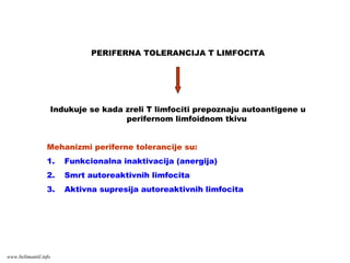 PERIFERNA TOLERANCIJA T LIMFOCITA
Indukuje se kada zreli T limfociti prepoznaju autoantigene u
perifernom limfoidnom tkivu
Mehanizmi periferne tolerancije su:
1. Funkcionalna inaktivacija (anergija)
2. Smrt autoreaktivnih limfocita
3. Aktivna supresija autoreaktivnih limfocita
www.belimantil.info
 