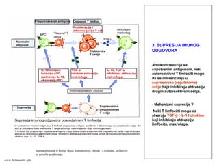 3. SUPRESIJA IMUNOG
ODGOVORA
-Prilikom reakcije sa
sopstvenim antigenom, neki
autoreaktivni T limfociti mogu
da se diferenciraju u
supresorske (regulatorne)
ćelije koje inhibiraju aktivaciju
drugih autoreaktivnih ćelija.
- Mehanizmi supresije ?
Neki T limfociiti mogu da
stvaraju TGF-β i IL-10 citokine
koji inhibiraju aktivaciju
limfocita, makrofaga.
Shema preuzeta iz knjige Basic Immunology, Abbas i Lichtman, isključivo
za potrebe predavanja
www.belimantil.info
 