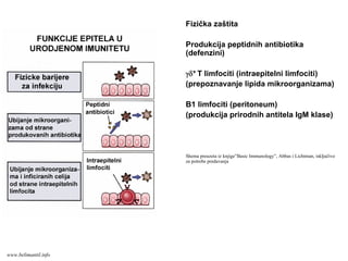 Fizička zaštita
Produkcija peptidnih antibiotika
(defenzini)
γδ+ T limfociti (intraepitelni limfociti)
(prepoznavanje lipida mikroorganizama)
B1 limfociti (peritoneum)
(produkcija prirodnih antitela IgM klase)
Shema preuzeta iz knjige”Basic Immunology”, Abbas i Lichtman, isključivo
za potrebe predavanja
www.belimantil.info
 