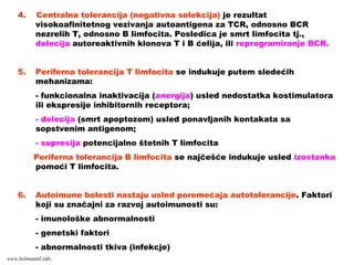 4. Centralna tolerancija (negativna selekcija) je rezultat
visokoafinitetnog vezivanja autoantigena za TCR, odnosno BCR
nezrelih T, odnosno B limfocita. Posledica je smrt limfocita tj.,
delecija autoreaktivnih klonova T i B ćelija, ili reprogramiranje BCR.
5. Periferna tolerancija T limfocita se indukuje putem sledećih
mehanizama:
- funkcionalna inaktivacija (anergija) usled nedostatka kostimulatora
ili ekspresije inhibitornih receptora;
- delecija (smrt apoptozom) usled ponavljanih kontakata sa
sopstvenim antigenom;
- supresija potencijalno štetnih T limfocita.
Periferna tolerancija B limfocita se najčešće indukuje usled izostanka
pomoći T limfocita.
6. Autoimune bolesti nastaju usled poremećaja autotolerancije. Faktori
koji su značajni za razvoj autoimunosti su:
- imunološke abnormalnosti
- genetski faktori
- abnormalnosti tkiva (infekcje)
www.belimantil.info
 