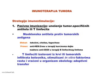 IMUNOTERAPIJA TUMORA
Strategije imunostimulacije:
1. Pasivna imunizacija: unošenje tumor.specifičnih
antitela ili T limfocita
• Monklonska antitela protiv tumorskih
antigena
Efekat: toksični, citoliza, fagocitoza
Primer: anti-HER-2/neu u terapiji karcinoma dojke
mabtera anti-CD20 u terapiji B limfocitnog limfoma
• T limfociti izolovani iz krvi ili tumorskih
infiltrata bolesnika, stimulisani in vitro faktorima
rasta i vraćeni u organizam obolelog: adoptivni
transfer
www.belimantil.info
 