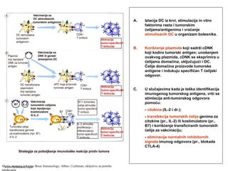 A. Izlacija DC iz krvi, stimulacija in vitro
faktorima rasta i tumorskim
ćelijama/antigenima i vraćanje
stimulisanih DC u organizam bolesnika.
B. Korišćenje plazmida koji sadrži cDNK
koji kodira tumorski antigen; unošenjem
ovakvog plazmida, cDNK se eksprimira u
ćelijama domaćina, uključujući i DC.
Ćelije domaćina proizvode tumorske
antigene i indukuju specifičan T ćelijski
odgovor.
C. U slučajevima kada je teška identifikacija
imunogenog tumorskog antigena, vrši se
stimlacija anti-tumorskog odgovora
pomoću:
- citokina (IL-2 i dr.);
- transfekcija tumorskih ćelija genima za
citokine (pr., IL-2) ili kostimulatore (pr.,
B7) i korišćenje transficiranih tumorskih
ćelija za vakcinaciju;
- eliminacija normalnih inhibitornih
signala imunog odgovora (pr., blokada
CTLA-4)
Shema preuzeta iz knjige Basic Immunology, Abbas i Lichtman, isključivo za potrebe
predavanja
www.belimantil.info
 