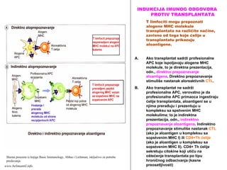 INDUKCIJA IMUNOG ODGOVORA
PROTIV TRANSPLANTATA
T limfociti mogu prepoznati
alogene MHC molekule
transplantata na različite načine,
zavisno od toga koje ćelije u
transplantatu prikazuju
aloantigene.
A. Ako transplantat sadrži profesionalne
APC koje ispoljavaju alogene MHC
molekule, to je direktna prezentacija,
odn., direktno prepoznavanje
aloantigena. Direktno prepoznavanje
stimuliše nastanak aloreaktivnih CTL.
B. Ako transplantat ne sadrži
profesionalne APC, verovatno je da
profesionalne APC primaoca ingestiraju
ćelije transplantata, aloantigeni se u
njima prerađuju i prezentuju u
kompleksu sa spstvenim MHC
molekulima; to je indirektna
prezentacija, odn., indirektno
prepoznavanje aloantigena. Indirektno
prepoznavanje stimuliše nastanak CTL
(ako je aloantigen u kompleksu sa
sopstvenim MHC I) ili CD4+Th ćelije
(ako je aloantigen u kompleksu sa
sopstvenim MHC II). CD4+ Th ćelije
sekretuju citokine koji utiču na
oštećenje transplantata po tipu
hroničnog odbacivanja (kasne
preosetljivosti)
Shema preuzeta iz knjige Basic Immunology, Abbas i Lichtman, isključivo za potrebe
predavanja
www.belimantil.info
 