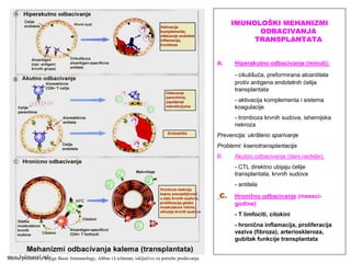 IMUNOLOŠKI MEHANIZMI
ODBACIVANJA
TRANSPLANTATA
A. Hiperakutno odbacivanje (minuti):
- cikulišuća, preformirana aloantitela
protiv antigena endotelnih ćelija
transplantata
- aktivacija komplementa i sistema
koagulacije
- tromboza krvnih sudova, ishemijska
nekroza
Prevencija: ukršteno sparivanje
Problemi: ksenotransplantacija
B. Akutno odbacivanje (dani.nedelje):
- CTL direktno ubijaju ćelije
transplantata, krvnih sudova
- antitela
C. Hronično odbacivanje (meseci-
godine)
- T limfociti, citokini
- hronična inflamacija, proliferacija
veziva (fibroza), arterioskleroza,
gubitak funkcije transplantata
Shema preuzeta iz knjige Basic Immunology, Abbas i Lichtman, isključivo za potrebe predavanjawww.belimantil.info
 