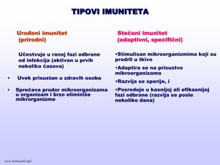 TIPOVI IMUNITETATIPOVI IMUNITETA
Učestvuje u ranoj fazi odbrane
od infekcija (aktivan u prvih
nekoliko časova)
• Uvek prisustan u zdravih osoba
• Sprečava prodor mikroorganizama
u organizam i brzo eliminiše
mikrorganizme
•Stimulisan mikroorganizmima koji su
prodrli u tkivo
•Adaptira se na prisustvo
mikroorganizama
•Razvija se sporije, i
•Posreduje u kasnijoj ali efikasnijoj
fazi odbrane (razvija se posle
nekoliko dana)
Stečeni imunitet
(adaptivni, specifični)
Urođeni imunitet
(prirodni)
www.belimantil.info
 