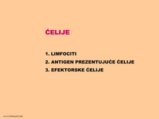 ĆELIJE
1. LIMFOCITI
2. ANTIGEN PREZENTUJUĆE ĆELIJE
3. EFEKTORSKE ĆELIJE
www.belimantil.info
 