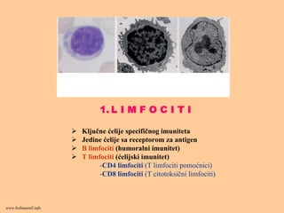 1. L I M F O C I T I
Ključne ćelije specifičnog imuniteta
Jedine ćelije sa receptorom za antigen
B limfociti (humoralni imunitet)
T limfociti (ćelijski imunitet)
-CD4 limfociti (T limfociti pomoćnici)
-CD8 limfociti (T citotoksični limfociti)
www.belimantil.info
 