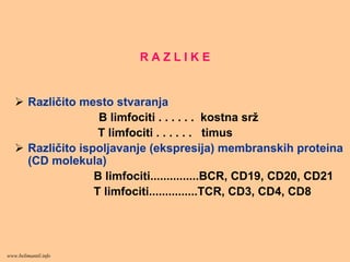R A Z L I K E
Različito mesto stvaranja
B limfociti . . . . . . kostna srž
T limfociti . . . . . . timus
Različito ispoljavanje (ekspresija) membranskih proteina
(CD molekula)
B limfociti...............BCR, CD19, CD20, CD21
T limfociti...............TCR, CD3, CD4, CD8
www.belimantil.info
 
