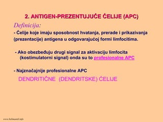 2. ANTIGEN2. ANTIGEN--PREZENTUJUPREZENTUJUĆĆEE ĆĆELIJE (APC)ELIJE (APC)
Definicija:
- Ćelije koje imaju sposobnost hvatanja, prerade i prikazivanja
(prezentacije) antigena u odgovarajućoj formi limfocitima.
- Ako obezbeđuju drugi signal za aktivaciju limfocita
(kostimulatorni signal) onda su to profesionalne APC
- Najznačajnije profesionalne APC
DENDRITIČNE (DENDRITSKE) ĆELIJE
www.belimantil.info
 