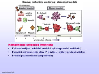 Komponente urođenog imuniteta
• Epitelne barijere i solubilni produkti epitela (prirodni antibiotici)
• Fagociti i prirodne ćelije ubice (NK ćelije), i njihovi produkti-citokini
• Proteini plazme (sistem komplementa)
www.belimantil.info
 
