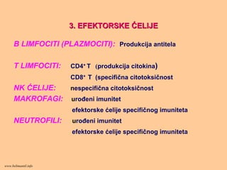 3. EFEKTORSKE3. EFEKTORSKE ĆĆELIJEELIJE
B LIMFOCITI (PLAZMOCITI): Produkcija antitela
T LIMFOCITI: CD4+ T (produkcija citokina)
CD8+ T (specifična citotoksičnost
NK ĆELIJE: nespecifična citotoksičnost
MAKROFAGI: urođeni imunitet
efektorske ćelije specifičnog imuniteta
NEUTROFILI: urođeni imunitet
efektorske ćelije specifičnog imuniteta
www.belimantil.info
 