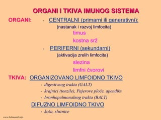 ORGANI I TKIVA IMUNOG SISTEMAORGANI I TKIVA IMUNOG SISTEMA
ORGANI: - CENTRALNI (primarni ili generativni):
(nastanak i razvoj limfocita)
timus
kostna srž
- PERIFERNI (sekundarni)
(aktivacija zrelih limfocita)
slezina
limfni čvorovi
TKIVA: ORGANIZOVANO LIMFOIDNO TKIVO
- digestivnog trakta (GALT)
- krajnici (tonzile), Pajerove ploče, apendiks
- bronhopulmonalnog trakta (BALT)
DIFUZNO LIMFOIDNO TKIVO
- koža, sluznice
www.belimantil.info
 