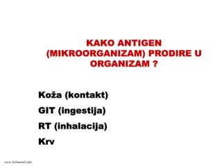 KAKO ANTIGEN
(MIKROORGANIZAM) PRODIRE U
ORGANIZAM ?
Koža (kontakt)
GIT (ingestija)
RT (inhalacija)
Krv
www.belimantil.info
 