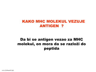 KAKO MHC MOLEKUL VEZUJE
ANTIGEN ?
Da bi se antigen vezao za MHC
molekul, on mora da se razloži do
peptida
www.belimantil.info
 
