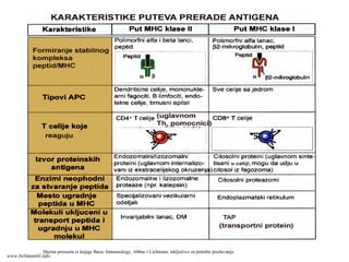 Shema preuzeta iz knjige Basic Immunology, Abbas i Lichtman, isključivo za potrebe predavanja
www.belimantil.info
 