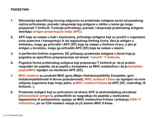 PODSETNIK:
1. Stimulacija specifičnog imunog odgovora na proteinske antigene zavisi od posebnog
načina prihvatanja, prerade i ekspresije tog antigena u obliku u kome ga mogu
prepoznati T limfociti. Funkcije prihvatanja, prerade i ekspresije proteinskog antigena
obavljaju antigen-prezentujuće ćelije (APĆ).
2. APĆ koje se nalaze u koži i sluznicama, prihvataju antigene koji su prodrli u organizam
ovim putevima i transportuju ih do regionalnog limfnog čvora. Ako je antigen u
limfotoku, mogu ga prihvatiti i APĆ (DĆ) koje se nalaze u limfnom čvoru, a ako je
antigen u krvotoku, mogu ga prihvatiti APĆ (DĆ) koje se nalaze u slezini.
3. U perifernim limfnim organima, DĆ prikazuju proteinske antigene u formi koja je
pogodna za specifično prepoznavanje od strane “naivnih” T limfocita.
4. Pogodna forma proteinskog antigena koji prepoznaju T limfociti je: da je protein
razgrađen do peptida, da je peptid u kompleksu sa MHC molekulima i da je kompleks
peptid/MHC ispoljen na membrani APĆ (DĆ).
5. MHC molekuli su produkti MHC gena (Major Histokompatibility Compleks- geni
histokompatibilnosti ili tkivne podudarnosti). MHC molekuli I klase su ispoljeni na svim
ćelijama organizma koje imaju jedro, a MHC molekuli II klase na APĆ (DĆ, makrofagi, B
limfociti...).
6. Proteinski antigeni koji su prihvaćeni od strane APĆ iz ekstraćelijskog okruženja
(ekstraćelijski antigeni), proteolitićki se razgrađuju do peptida u vezikulama-
fagozomima ili endozomima- spajaju sa MHC molekulima II klase i prikazuju CD4+ T
limfocitima, jer se CD4 molekul vezuje za β2 domen MHC II klase.
www.belimantil.info
 