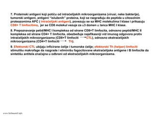 7. Proteinski antigeni koji potiću od intraćelijskih mikroorganizama (virusi, neke bakterije),
tumorski antigeni, antigeni “isluženih” proteina, koji se razgrađuju do peptida u citosolnim
proteazomima APĆ ( intraćelijski antigeni), povezuju se sa MHC molekulima I klase i prikazuju
CD8+ T limfocitima, jer se CD8 molekul vezuje za α3 domen α lanca MHC I klase.
8. Prepoznavanje petid/MHC I kompleksa od strane CD8+T limfocita, odnosno peptid/MHC II
kompleksa od strane CD4+ T limfocita, obezbeđuje najefikasniji vid imunog odgovora protiv
intraćelijskih mikroorganizama (CD8+T limfociti CTL), odnosno ekstraćelijskih
mikroorganizama (CD4+T limfociti Th).
9. Efektorski CTL ubijaju inficirane ćelije i tumorske ćelije; efektorski Th (helper) limfociti
stimulišu makrofage da razgrade i eliminišu fagocitovane ekstraćelijske antigene i B limfocite da
sintetišu antitela značajna u odbrani od ekstraćelijskih mikroorganizama.
www.belimantil.info
 