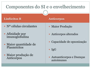 Linfócitos B Anticorpos
 Nº células circulantes
 Afinidade por
imunoglobulina
 Maior quantidade de
Plasmócitos
 Maior produção de
Anticorpos
 Maior Produção
 Anticorpos alterados
 Capacidade de opsonização
 IgG
 Autoanticorpos e Doenças
autoimunes
Componentes do SI e o envelhecimento
 