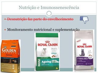 Nutrição e Imunossenescência
 Desnutrição faz parte do envelhecimento
 Monitoramento nutricional e suplementação
 