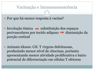 Vacinação e Imunossenescência
 Por que há menor resposta à vacina?
 Involução tímica substituição dos espaços
perivasculares por tecido adiposo diminuição da
porção cortical
 Animais idosos: Cél. T virgens defeituosas,
produzindo menor nível de citocinas, portanto
apresentando menor atividade proliferativa e baixo
potencial de diferenciação em células T efetoras
 
