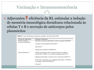 Vacinação e Imunossenescência
 Adjuvantes: eficiência da RI, estimular a indução
de memória imunológica duradoura relacionada às
células T e B e secreção de anticorpos pelos
plasmócitos
 