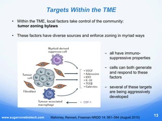 www.sugarconebiotech.com
13
Targets Within the TME
•  Within the TME, local factors take control of the community:
tumor z...