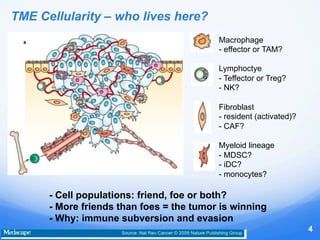 TME Cellularity – who lives here?
www.sugarconebiotech.com
4
- Cell populations: friend, foe or both?
- More friends than ...