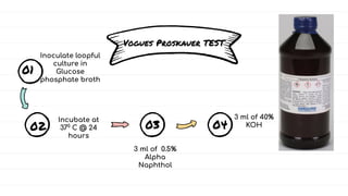 Loopful IMViC Biochemical Tests Principle|Indole|Methyl Red|Voges Proskauer ...