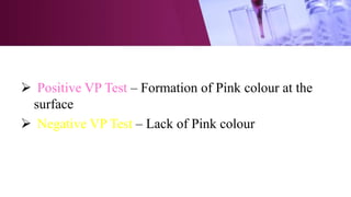  Positive VP Test – Formation of Pink colour at the
surface
 Negative VP Test – Lack of Pink colour
 