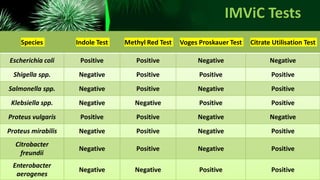 Dr. A. SUMATHI - Pharmaceutical Microbiology - IMViC Tests | PDF