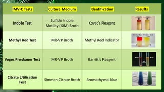 Dr. A. SUMATHI - Pharmaceutical Microbiology - IMViC Tests | PDF
