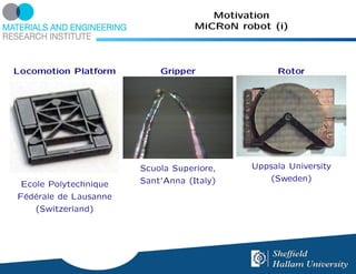 Motivation
                                   MiCRoN robot (i)



Locomotion Platform        Gripper               Rotor




                       Scuola Superiore,    Uppsala University
                       Sant’Anna (Italy)       (Sweden)
 Ecole Polytechnique
F´d´rale de Lausanne
 e e
    (Switzerland)
 