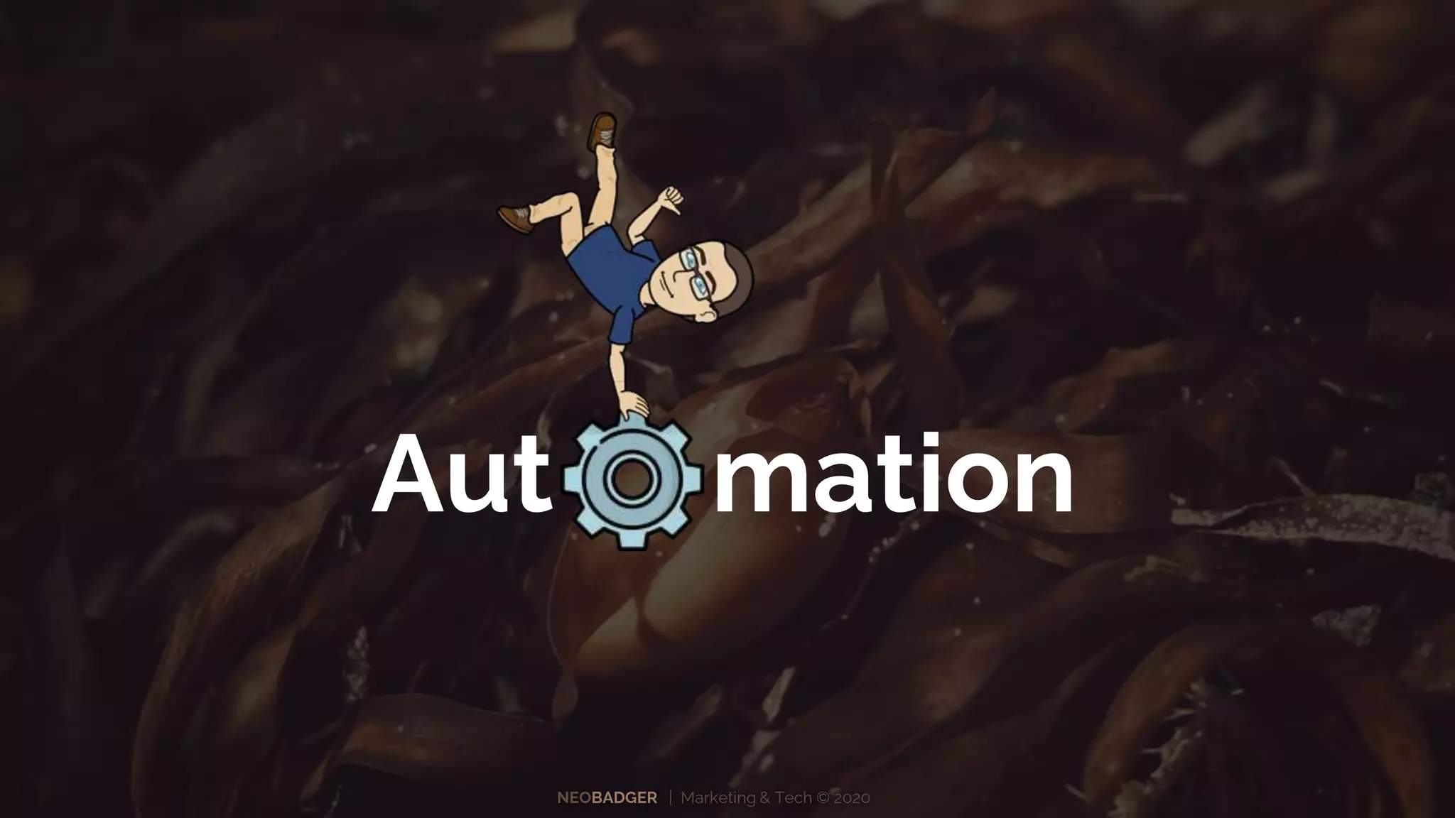 NEOBADGER | Marketing & Tech © 2020
Aut mation
 