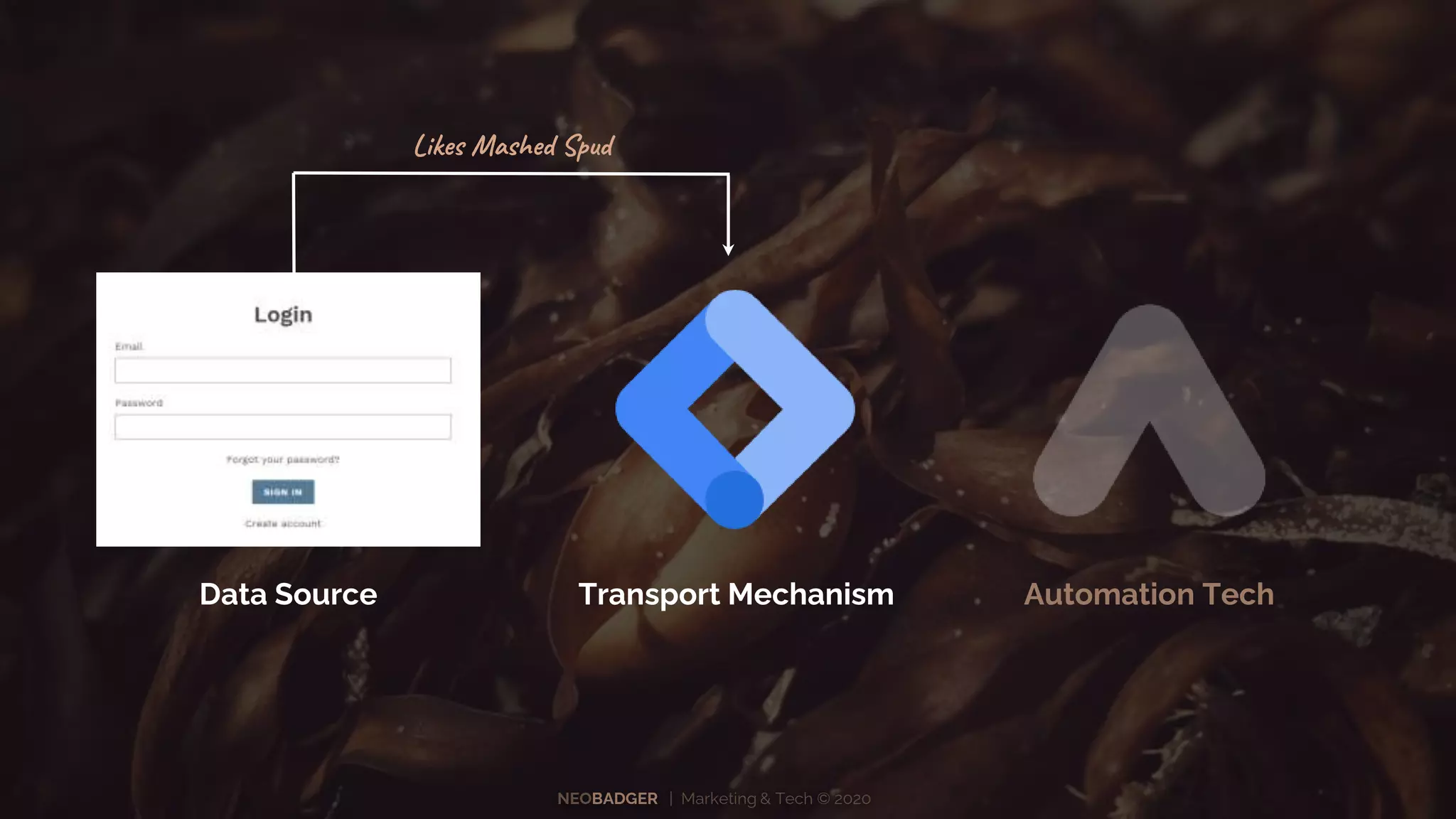 NEOBADGER | Marketing & Tech © 2020
Automation TechTransport MechanismData Source
Likes Mashed Spud
 