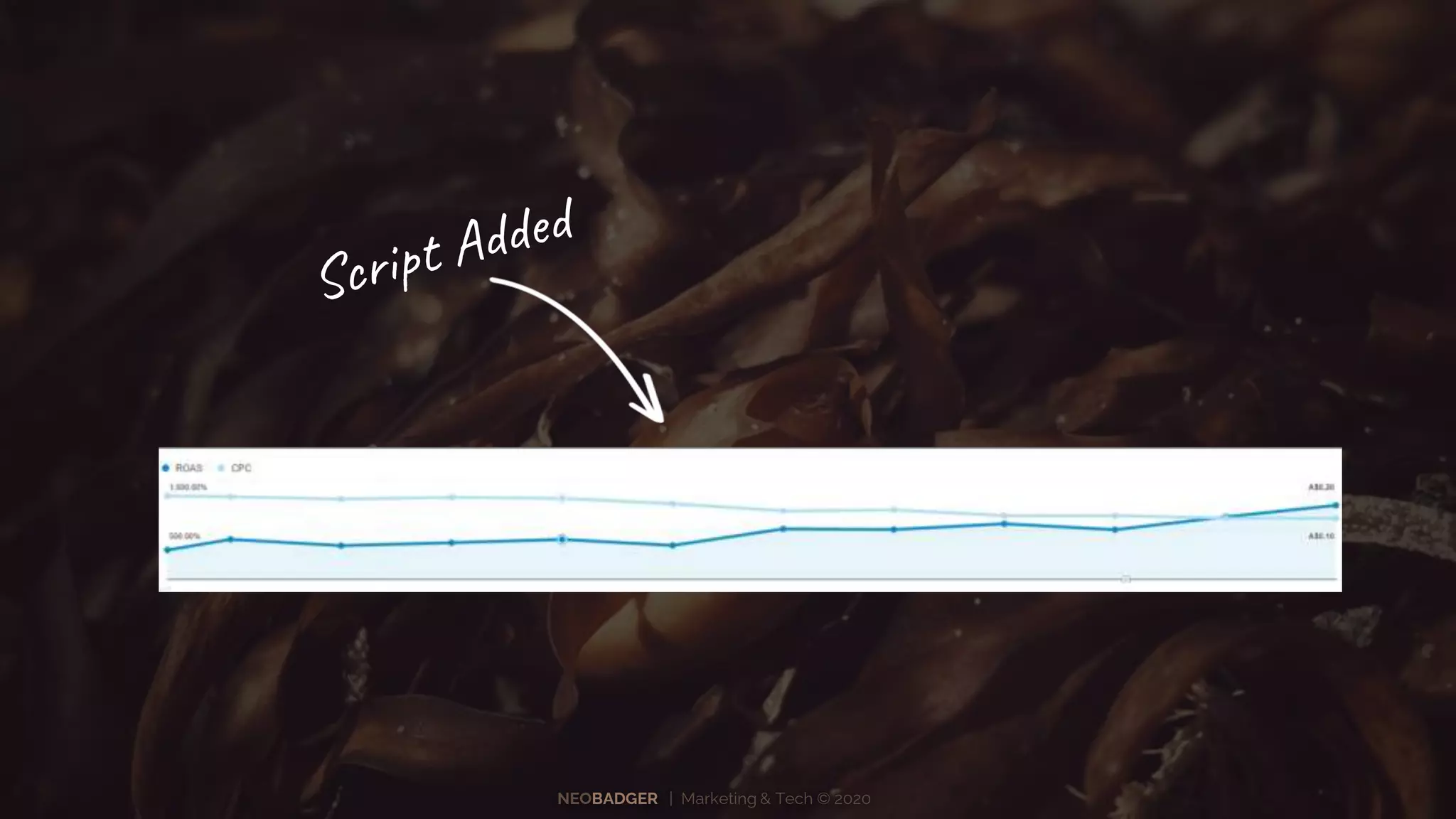 NEOBADGER | Marketing & Tech © 2020
 