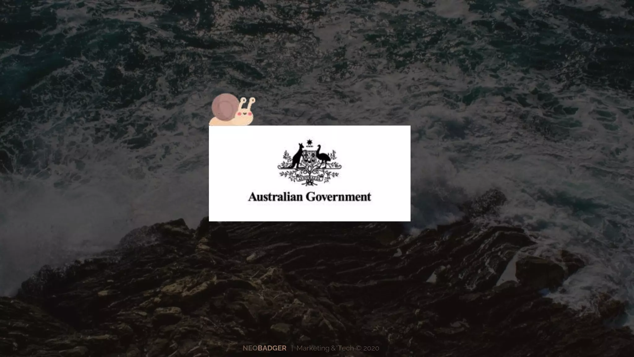 NEOBADGER | Marketing & Tech © 2020
 