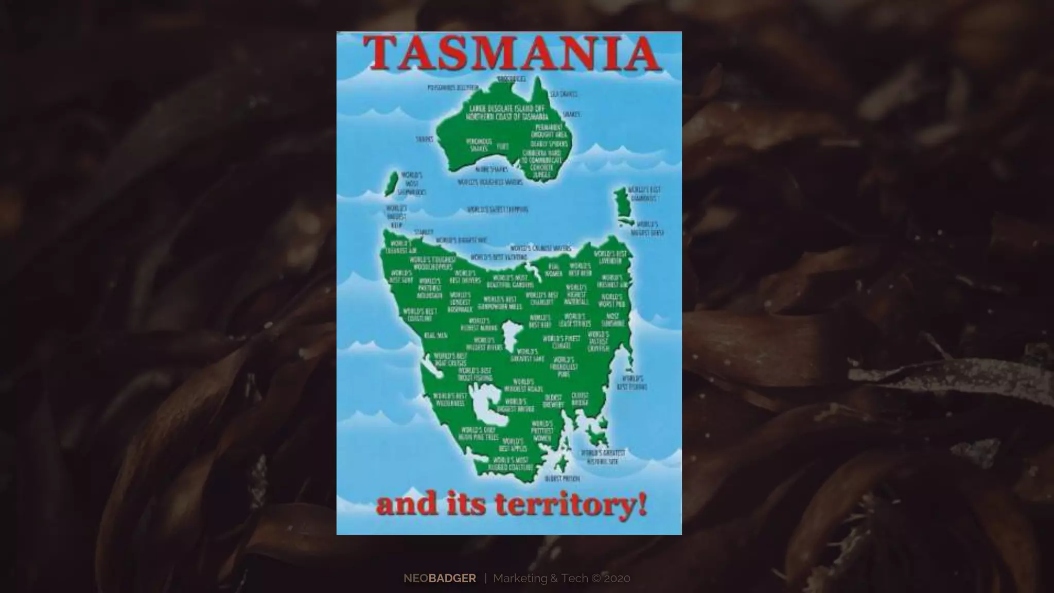 NEOBADGER | Marketing & Tech © 2020
 