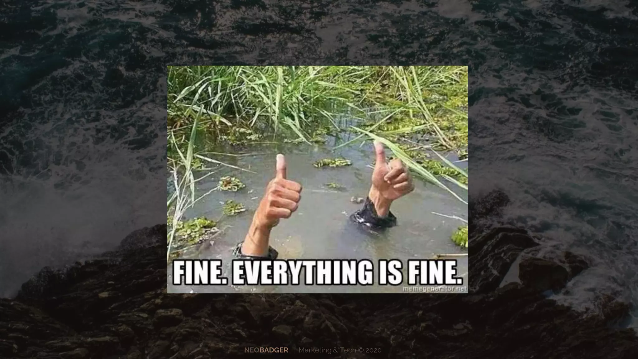 NEOBADGER | Marketing & Tech © 2020
 