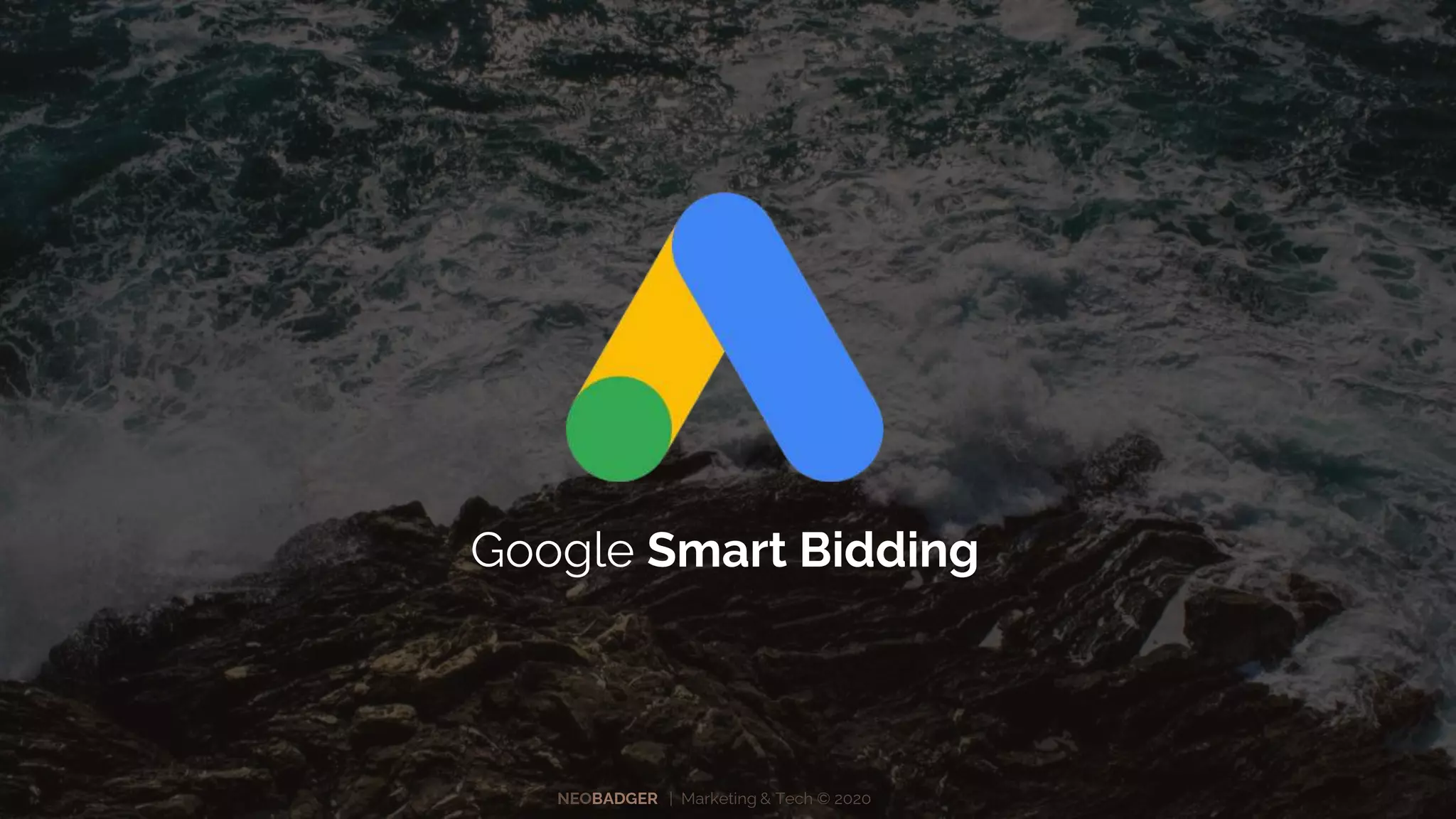 NEOBADGER | Marketing & Tech © 2020
Google Smart Bidding
 