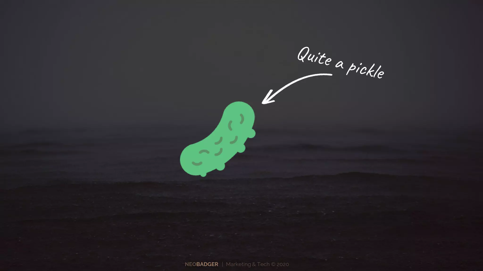 NEOBADGER | Marketing & Tech © 2020
 