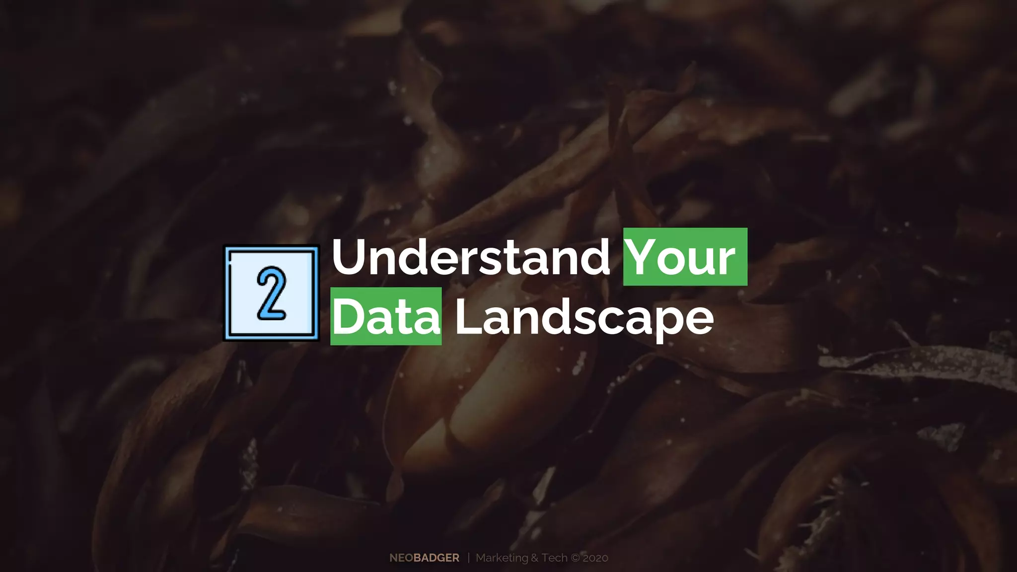 NEOBADGER | Marketing & Tech © 2020
Understand Your
Data Landscape
 