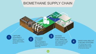 BIOMETHANE SUPPLY CHAIN
Methane is derived from
various organic waste
sources such as landfills
and farms.
CAPTURE
& EXTRACT1
After it is processed to
Required standards of
Purity, methane becomes a
Renewable substitute for
Natural gas.
PROCESS
& PURIFY2
Once compressed or lique-
fied, methane gas is sent
into the interstate fuel
pipeline system.
ENTERS
INTERSTATE
FUEL PIPELINE
The methane gas is routed
to designated Clean Energy
stations which fuel an array
of commercial vehicles.
MADE AVAILABLE AT
FUELING STATIONS
3
4
 