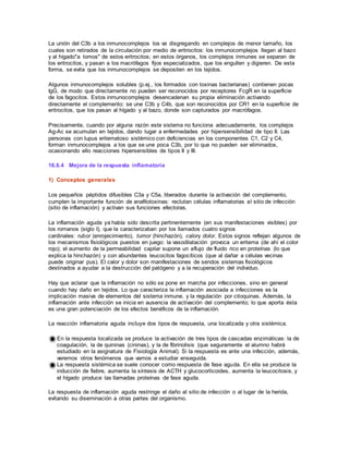 La unión del C3b a los inmunocomplejos los va disgregando en complejos de menor tamaño, los
cuales son retirados de la circulación por medio de eritrocitos: los inmunocomplejos llegan al bazo
y al hígado"a lomos" de estos eritrocitos; en estos órganos, los complejos inmunes se separan de
los eritrocitos, y pasan a los macrófagos fijos especializados, que los engullen y digieren. De esta
forma, se evita que los inmunocomplejos se depositen en los tejidos.
Algunos inmunocomplejos solubles (p.ej., los formados con toxinas bacterianas) contienen pocas
IgG, de modo que directamente no pueden ser reconocidos por receptores FcgR en la superficie
de los fagocitos. Estos inmunocomplejos desencadenan su propia eliminación activando
directamente el complemento: se une C3b y C4b, que son reconocidos por CR1 en la superficie de
eritrocitos, que los pasan al hígado y al bazo, donde son capturados por macrófagos.
Precisamente, cuando por alguna razón este sistema no funciona adecuadamente, los complejos
Ag-Ac se acumulan en tejidos, dando lugar a enfermedades por hipersensibilidad de tipo II. Las
personas con lupus eritematoso sistémico con deficiencias en los componentes C1, C2 y C4,
forman inmunocomplejos a los que se une poca C3b, por lo que no pueden ser eliminados,
ocasionando ello reacciones hipersensibles de tipos II y III.
16.6.4 Mejora de la respuesta inflamatoria
1) Conceptos generales
Los pequeños péptidos difusibles C3a y C5a, liberados durante la activación del complemento,
cumplen la importante función de anafilotoxinas: reclutan células inflamatorias al sitio de infección
(sitio de inflamación) y activan sus funciones efectoras.
La inflamación aguda ya había sido descrita pertinentemente (en sus manifestaciones visibles) por
los romanos (siglo I), que la caracterizaban por los llamados cuatro signos
cardinales: rubor (enrojecimiento), tumor (hinchazón), calory dolor. Estos signos reflejan algunos de
los mecanismos fisiológicos puestos en juego: la vasodilatación provoca un eritema (de ahí el color
rojo); el aumento de la permeabilidad capilar supone un aflujo de fluido rico en proteínas (lo que
explica la hinchazón) y con abundantes leucocitos fagocíticos (que al dañar a células vecinas
puede originar pus). El calor y dolor son manifestaciones de sendos sistemas fisiológicos
destinados a ayudar a la destrucción del patógeno y a la recuperación del individuo.
Hay que aclarar que la inflamación no sólo se pone en marcha por infecciones, sino en general
cuando hay daño en tejidos. Lo que caracteriza la inflamación asociada a infecciones es la
implicación masiva de elementos del sistema inmune, y la regulación por citoquinas. Además, la
inflamación ante infección se inicia en ausencia de activación del complemento; lo que aporta ésta
es una gran potenciación de los efectos benéficos de la inflamación.
La reacción inflamatoria aguda incluye dos tipos de respuesta, una localizada y otra sistémica.
En la respuesta localizada se produce la activación de tres tipos de cascadas enzimáticas: la de
coagulación, la de quininas (cininas), y la de fibrinolisis (que seguramente el alumno habrá
estudiado en la asignatura de Fisiología Animal). Si la respuesta es ante una infección, además,
veremos otros fenómenos que vamos a estudiar enseguida.
La respuesta sistémica se suele conocer como respuesta de fase aguda. En ella se produce la
inducción de fiebre, aumenta la síntesis de ACTH y glucocorticoides, aumenta la leucocitosis, y
el hígado produce las llamadas proteínas de fase aguda.
La respuesta de inflamación aguda restringe el daño al sitio de infección o al lugar de la herida,
evitando su diseminación a otras partes del organismo.
 