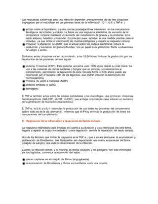 Las respuestas sistémicas ante una infección dependen principalmente de las tres citoquinas
segregadas por el macrófago en las primeras fases de la inflamación (IL-1, IL-6 y TNF-a ):
actúan sobre el hipotálamo, y junto con las prostaglandinas intervienen en los mecanismos
fisiológicos de la fiebre y el dolor. La fiebre es una respuesta adaptativa de aumento de la
temperatura corporal mediante un aumento del metabolismo de grasas y de proteínas en el
tejido adiposo, hepático y muscular. En principio pues, la fiebre es una medida positiva para el
individuo, ya que inhibe el crecimiento de muchos patógenos y mejora la respuesta inmune.
Provocan la liberación de ACTH, que al actuar sobre las corteza suprarrenal induce la
producción y secreción de glucocorticoides, con un papel en la protección frente a situaciones
de peligro y estrés.
Conforme estas citoquinas se van acumulando, a las 12-24 horas, inducen la producción por los
hepatocitos de las proteínas de fase aguda:
proteína C-reactiva (CRP). Esta proteína aumenta unas 1000 veces desde su nivel basal. Se
une a las cubiertas de ciertas bacterias y hongos que en principio son resistentes al
complemento, permitiendo la deposición de éste. De esta forma el C3b ahora puede ser
reconocido por el receptor CR1 de los fagocitos, que podrán intentar la destrucción del
microorganismo.
Proteína de unión a mananos (MBP).
proteína amiloide A sérica
fibrinógeno.
El TNF-a también actúa sobre las células endoteliales y los macrófagos, que producen citoquinas
hematopoyéticas (GM-CSF, M-CSF, G-CSF), que al llegar a la médula ósea inducen un aumento
de la generación de leucocitos (leucocitosis).
El TNF-a, la IL-6 y la IL-1 estimulan la producción de casi todas las proteínas del complemento
(sobre todo las de la vía alternativa), mientras que el IFN-g estimula la producción de todos los
componentes del complemento.
5) Regulación de la inflamación y reparación del tejido dañado
La respuesta inflamatoria está limitada en cuanto a su duración y a su intensidad (de otra forma,
llegaría a agredir al propio hospedador), y esta regulación permite la reparación del tejido dañado.
Uno de los factores que limitan la respuesta es el TGF-a , que a su vez promueve la acumulación y
proliferación de fibroblastos. Los fibroblastos van depositando una matriz extracelular de fibrina
(coágulo de sangre), que evita la diseminación de la infección.
Cuando la infección remite, y la mayoría de restos celulares y del patógeno han sido eliminados
por los fagocitos, comienza la reparación del tejido:
crecen capilares en el coágulo de fibrina (angiogénesis)
la acumulación de fibroblastos y fibrina se manifiesta como una cicatriz.
 