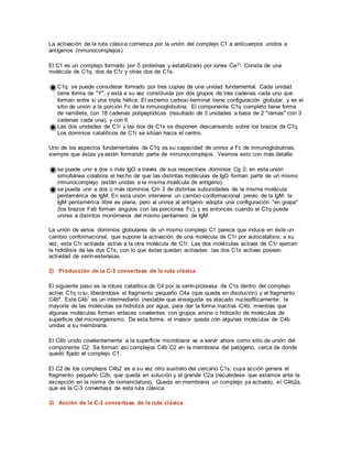 La activación de la ruta clásica comienza por la unión del complejo C1 a anticuerpos unidos a
antígenos (inmunocomplejos).
El C1 es un complejo formado por 5 proteínas y estabilizado por iones Ca2+. Consta de una
molécula de C1q, dos de C1r y otras dos de C1s.
C1q: se puede considerar formado por tres copias de una unidad fundamental. Cada unidad
tiene forma de "Y", y está a su vez constituida por dos grupos de tres cadenas cada uno que
forman entre sí una triple hélice. El extremo carboxi-terminal tiene configuración globular, y es el
sitio de unión a la porción Fc de la inmunoglobulina. El componente C1q completo tiene forma
de ramillete, con 18 cadenas polipeptídicas (resultado de 3 unidades a base de 2 "ramas" con 3
cadenas cada una), y con 6
Las dos unidades de C1r y las dos de C1s se disponen descansando sobre los brazos de C1q.
Los dominios catalíticos de C1r se sitúan hacia el centro.
Uno de los aspectos fundamentales de C1q es su capacidad de unirse a Fc de inmunoglobulinas,
siempre que éstas ya estén formando parte de inmunocomplejos. Veamos esto con más detalle:
se puede unir a dos o más IgG a través de sus respectivos dominios Cg 2; en esta unión
simultánea colabora el hecho de que las distintas moléculas de IgG forman parte de un mismo
inmunocomplejo (están unidas a la misma molécula de antígeno).
se puede unir a dos o más dominios Cm 3 de distintas subunidades de la misma molécula
pentamérica de IgM. En esta unión interviene un cambio conformacional previo de la IgM: la
IgM pentamérica libre es plana, pero al unirse al antígeno adopta una configuración "en grapa"
(los brazos Fab forman ángulos con las porciones Fc), y es entonces cuando el C1q puede
unirse a distintos monómeros del mismo pentámero de IgM.
La unión de varios dominios globulares de un mismo complejo C1 parece que induce en éste un
cambio conformacional, que supone la activación de una molécula de C1r por autocatálisis; a su
vez, esta C1r activada activa a la otra molécula de C1r. Las dos moléculas activas de C1r ejercen
la hidrólisis de las dos C1s, con lo que éstas quedan activadas: las dos C1s activas poseen
actividad de serín-esterasas.
2) Producción de la C-3 convertasa de la ruta clásica
El siguiente paso es la rotura catalítica de C4 por la serín-proteasa de C1s dentro del complejo
activo C1q r2 s2, liberándose el fragmento pequeño C4a (que queda en disolución) y el fragmento
C4b*. Este C4b* es un intermediario inestable que enseguida es atacado nucleofílicamente: la
mayoría de las moléculas se hidroliza por agua, para dar la forma inactiva iC4b, mientras que
algunas moléculas forman enlaces covalentes con grupos amino o hidroxilo de moléculas de
superficie del microorganismo. De esta forma, el invasor queda con algunas moléculas de C4b
unidas a su membrana.
El C4b unido covalentemente a la superficie microbiana va a servir ahora como sitio de unión del
componente C2. Se forman así complejos C4b C2 en la membrana del patógeno, cerca de donde
quedó fijado el complejo C1.
El C2 de los complejos C4b2 es a su vez otro sustrato del cercano C1s, cuya acción genera el
fragmento pequeño C2b, que queda en solución y el grande C2a (recuérdese que estamos ante la
excepción en la norma de nomenclatura). Queda en membrana un complejo ya activado, el C4b2a,
que es la C-3 convertasa de esta ruta clásica.
3) Acción de la C-3 convertasa de la ruta clásica
 