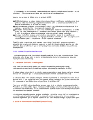 La C3-convertasa C3b2a convierte catalíticamente (por hidrólisis) muchas moléculas de C3 a C3a
(difusibles) y C3b, que se van anclando a la membrana del microorganismo.
Veamos con un poco de detalle cómo es la rotura del C3:
El C3 intacto posee un enlace tioéster interno (adquirido por modificación postraduccional de la
proteína) entre una cisteína y una glutamina cercanas entre sí. Este enlace como tal es muy
estable (su vida media es de unas 600 horas).
La C3-convertasa cataliza la rutura proteolítica del C3 cerca del extremo amino-terminal de la
cadena a , generando C3a y el componente inestable C3b*.
En el C3b* el enlace tioéster se vuelve muy inestable (vida media 60 microsegundos): el azufre
queda con carga neta negativa (-S-), mientras que el carbono queda como grupo carbonilo (-
C+ =O). De esta forma, este enlace se vuelve muy susceptible a ataque nucleofílico.
Un grupo nucleofílico cercano perteneciente a una proteína o azúcar de la superficie del
microorganismo reacciona ahora con el grupo electrofílico carbonilo del C3b*, lo que produce la
unión covalente (por -CO-O-) entre el C3b y la superficie microbiana.
Este C3b unido a membrana actúa a su vez como núcleo "focalizador" para que continué la
activación del complemento (estamos pues ante un bucle de retroalimentación positiva: ver más
adelante). Esta es la forma en que se van fijando grandes cantidades de C3b a la superficie del
microrganismo.
16.2.2 Activación por la ruta alternativa
La ruta alternativa se activa directamente sobre la superficie de muchos microorganismos. Opera
varios días antes de que entre en acción la ruta clásica (la clásica tiene que esperar a que se
hayan producido anticuerpos).
1) Activación "al ralentí" o "marcapasos"
En el suero, en una situación normal (en ausencia de infección) se está produciendo
continuamente una activación limitada que produce sólo pequeñas cantidades de C3b*:
El enlace tioéster interno del C3 se hidroliza espontáneamente en agua, dando una forma activada
llamada C3i. Esto es lo que se conoce como activación al ralentí (activación tick-over).
El C3i actúa ahora como sitio de unión para el factor B, generando el complejo C3iB, sobre el que
actúa el factor D, que rompe el B unido para generar Ba y el complejo C3iBb, que actúa como una
C-3 convertasa en fase fluida. Como tal, escinde el C3 en C3a y C3b*.
Pero como este C3b* está en fase fluida, la mayor parte de él se hidroliza por agua y se inactiva.
Ahora bien, si por casualidad alguna molécula de C3b* se topa con una superficie no propia (p. ej.,
la membrana de una bacteria), se une covalentemente a ella e inicia el bucle de amplificación de la
ruta alternativa (ver apartado siguiente).
Una pregunta asaltará enseguida al sagaz estudiante: ¿por qué el mismo C3b* no inicia ese bucle
en membranas del propio hospedador? La respuesta estriba en que, como veremos, existen
proteínas reguladoras que lo impiden. Se trata de una forma más de distinguir lo propio de lo ajeno.
2) Bucle de retroalimentación positiva (amplificación)
 